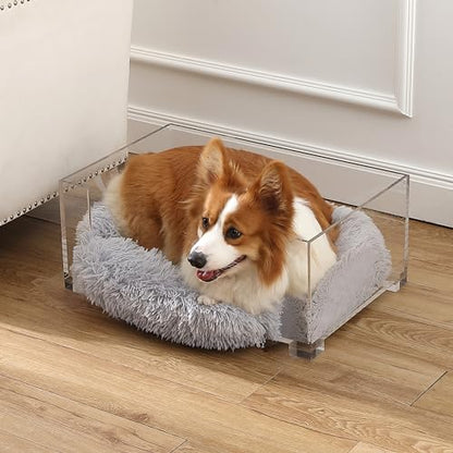 Billie 24" x 15.75" Small Modern Lucite Pet Bed with Washable Cushion and 4" Elevated Pet Feeder with 27 oz 2-Stainless Steel Bowls, Light Gray/Clear (Set of 2) DBD2001A-2SET
