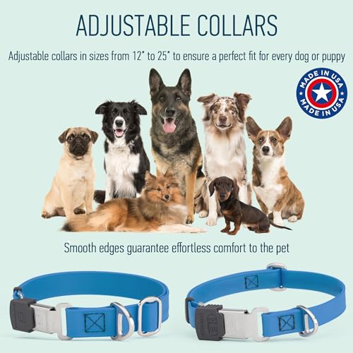 Biothane Waterproof Durable Dog Collar with Herm Sprenger - Quick Release ClicLock Buckle - Fits Medium and Large Dogs - Made in USA (Cerulean Blue, W 3/4" x L 12"-19") - color: Cerulean Blue, size: W 3/4" x L 12"-19"