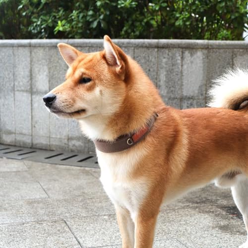 Soft Nylon Dog Collar with Buckle, Adjustable Padded Pet Collar with D-Ring for Small Medium Large Dogs,Brown,S - color: Brown, size: S:Neck 10.6-14.5"