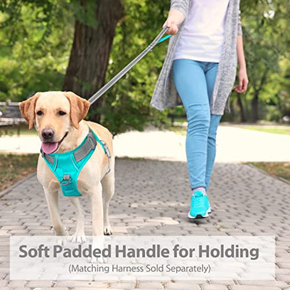 PHOEPET 5 Feet Dog Leash - Dual-Side Reflective - Soft Padded Handle - Fit for Walking, Training or Exploring Hiking, Camping (Grey + Mint Green Base) - color: Grey + Mint Green Base