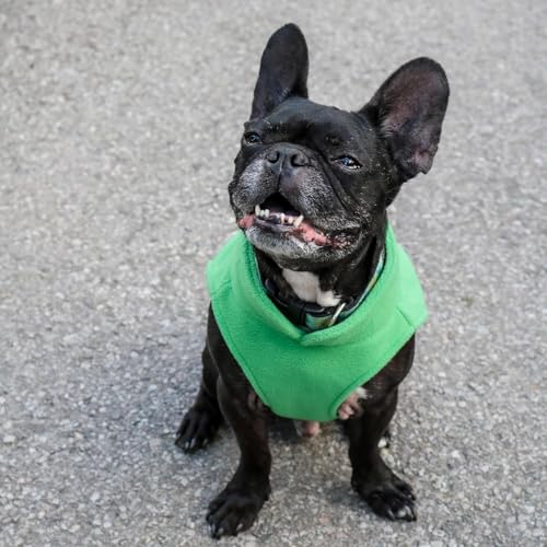 JACKO & CO - Fleece Vest Dog Sweater with Leash Ring - Soft, Warm & Lightweight Pullover Coat for Small & Medium Dogs, Puppies & Cats - Cozy Fall/Winter/Spring Pet Jacket (Green, X-Small 2-4lbs) - color: Green, size: XS (2-4lbs)
