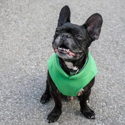 JACKO & CO - Fleece Vest Dog Sweater with Leash Ring - Soft, Warm & Lightweight Pullover Coat for Small & Medium Dogs, Puppies & Cats - Cozy Fall/Winter/Spring Pet Jacket (Green, X-Small 2-4lbs) - color: Green, size: XS (2-4lbs)