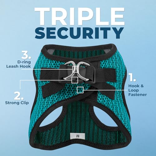 Best Pet Supplies Voyager Step-in Air All Weather Mesh Harness and Reflective Dog 5ft Leash Combo with Neoprene Handle, for Small, Medium and Large Breed Puppies - Set (Turquoise 2-Tone), X-Small
