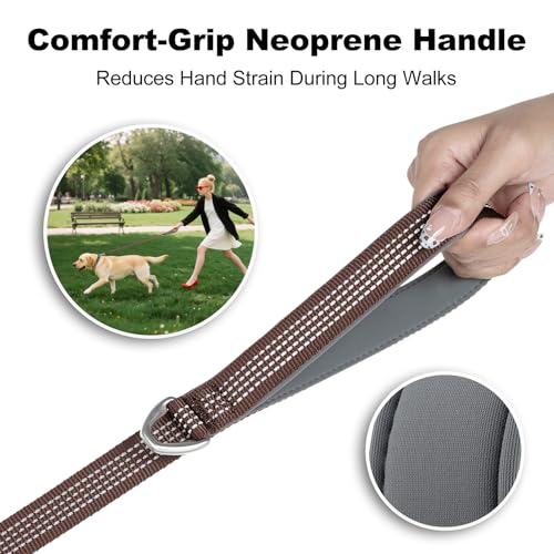 Plutus Pet Heavy Duty Dog Leash with Lockable Aluminum Carabiner, 4/6 Feet Long, Double-Sided Reflective Nylon, Padded Handle, for Puppy, Small, Medium and Large Dogs (Chocolate, 1" x 4') - color: Chocolate, size: 1" x 4'