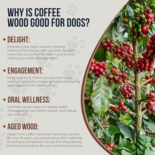 Coffee Wood Dog Chew Sticks 6.5" & Dog Rope Toys for Puppy - 100% Natural Puppy Chew for Teething, Organic Wood Stick - Size XS - size: Extra Small