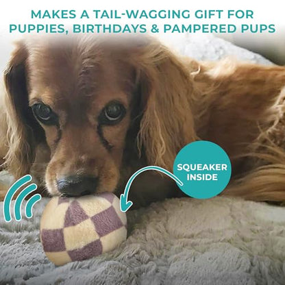 Haute Diggity Dog Chewy Vuiton Trunk Puzzle with 3 Plush Squeaky Dog Toys, Soft Durable Designer-Inspired Stuffed Puppy Chew Toys for Small & Medium Dogs, Machine-Washable (Tan Checker) One Size - color: Brown Trunk, size: One Size