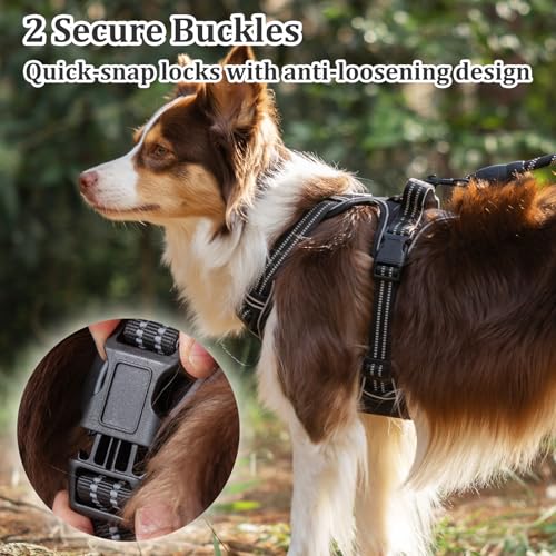 Vest Harness for Dogs - Reflective Adjustable Padding with Easy-On Design & Leash Attachment (M, Black) - color: Black, size: M
