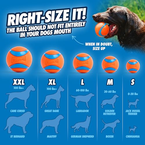 Chuckit! Dog Ball Launcher 12M Sport with 12" Handle Length for Medium 2.5" Dog Balls For Dogs 20-60 lb, Plastic Pet Fetch Ball Thrower, Perfect for Kids, Made in USA, Blue - size: 12in, style: Sport