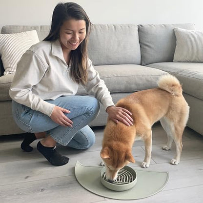 Should We Go? Slow Feeder for Dogs & Puppies, The Slowdown Bowl Silicone Slow Eating, Modern Lick Mat Design, Reduces Gulping, Fits 2 Cups, 7.5” Across x 1.5” Tall, Mealtime Challenge, Medium-Sage - color: Sage - Rainbow Design, size: Medium (7.5” Across