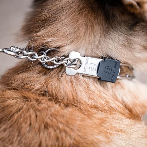Herm Sprenger Stainless Steel Dog Collar with Short Links and Quick Release ClicLock Buckle Made in Germany (Stainless Steel, 20in x 3.0mm (Neck Size up to 16-17in)) - color: Stainless Steel, size: 3.0 mm x 16-17 in Neck Size; 20 in Chain Length