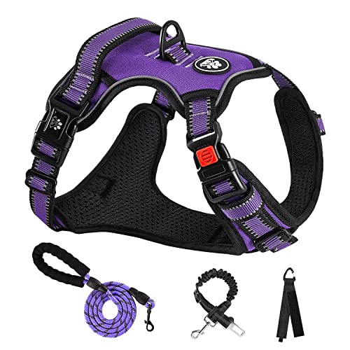 No Pull Dog Harness,Adjustable Oxford Dog Vest Harness with Leash,Reflective No-Choke Pet Harness with Easy Control Soft Handle for Small Dogs(Small,Purple) - color: Purple, size: 【S】neck 11-15" chest 15-21"