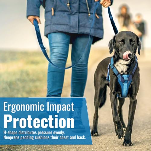 No-Pull Dog Harness with Handle - Escape Proof, Anti-Pulling, Grip Control, Multi-Angle Reflective for Safe Walks & Training, Easy On & Off, Metal Buckle–Pet Harness, Medium/Large Dogs- M- Black - color: Black, size: M:Neck16.9"~23.6",Chest18.9"-27.6"