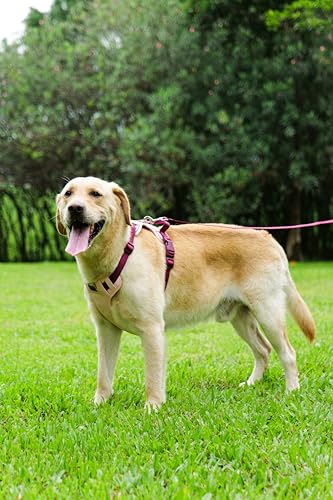 Pink Dog Harness Leash Collar Set, No Pull Reflective Dog Vest Harness with Control Handle, Adjustable Breathable Pet Harness for Large Dogs Walking Training - color: Pink, size: XL