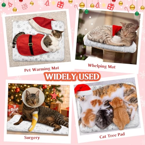 2 Pack Winter Self Warming Cat Mat Snowflake White Self Heating Pad Bed 22" x 18" Reversible Reflects Body Heat Machine Washable Thermal Pet Blanket for Winter Indoor Pet Kitten Dog Crate - color: White