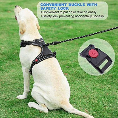 tobeDRI No Pull Dog Harness Adjustable Reflective Oxford Easy Control Medium Large Dog Harness with A Free Heavy Duty 5ft Dog Leash - color: Blue Harness+Leash, size: Medium