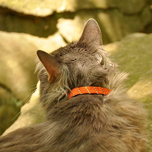Elasta Cat® Reflective Safety Stretch Collar - color: Black