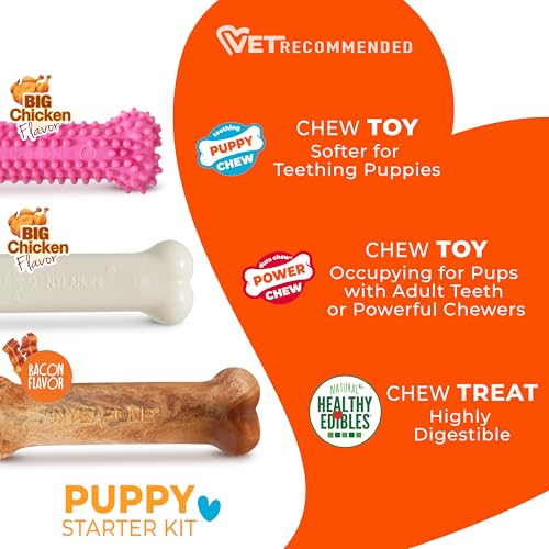 Nylabone Puppy Chew Toys & Natural Treat Triple Pack, Puppy Enrichment Teething Toys, Pink, Chicken & Bacon Flavor, Small Dogs - Up to 25 Ibs, 3 Pack - color: Pink, size: Small