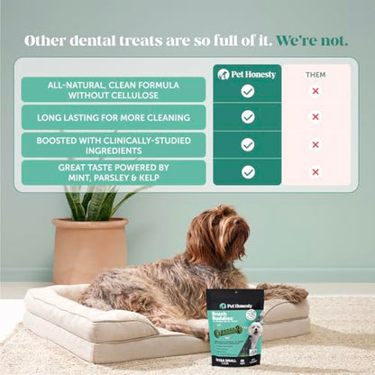 Pet Honesty Brush Buddies All Natural Dog Dental Treats for Dogs – Long Lasting Dental Sticks for Dogs, Teeth Cleaner, Breath Freshener, Plaque & Tartar Remover – Extra Small Dogs (40 Count) - size: Extra Small Dog - 40 Count