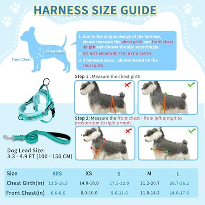 SlowTon No Pull Small Dog Harness and Leash Set, Puppy Soft Vest Harness Neck & Chest Adjustable, Reflective Lightweight Harness & Anti-Twist Pet Lead Combo for Small Medium Dogs(BL-Front Clip,XXS) - color: B-Teal - With Front Clip, size: XX-Small