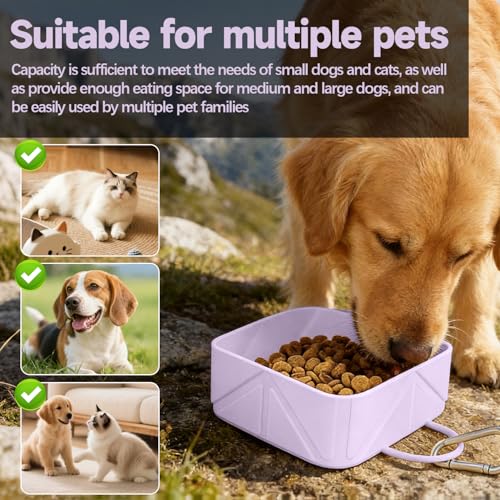Collapsible Pet Bowls for Dogs and Cats, Portable Travel Silicone Foldable Dog Water Food Bowl with Carabiner 10.5x10.5x4.5cm - color: Purple