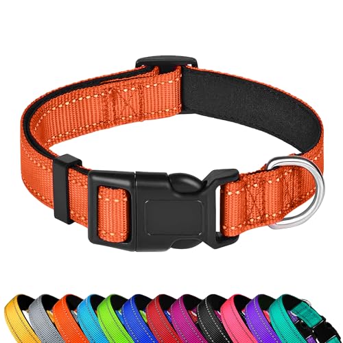 Reflective Dog Collar, Adjustable Soft Neoprene Padded Nylon Pet Collars with Buckle for Puppy and Small Dogs, Cats, Orange,XS - color: Orange, size: X-Small
