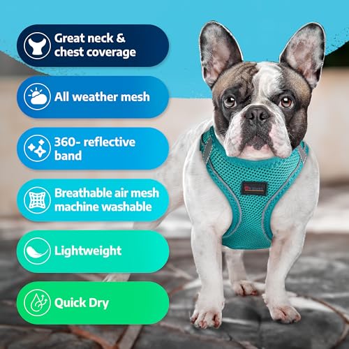 Filbert Dog Harness Large Sized Dog, Step-in Reflective Harness Large Sized Dogs, Mesh Vest, Adjustable, Soft, High Reflectivity, Breathable Fabric, Heavy Duty, Red - color: Red, size: XL (Chest: 20.75 - 23")