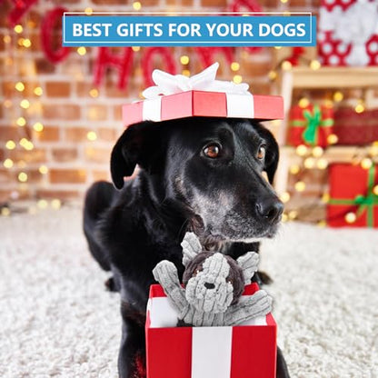Letsmeet Plush Dog Squeak Toys with Crinkle Paper - Pull Interactive Tug of War Dog Toy, Great for Dental Health, Strengthening Bonds and Anxiety Relief for Puppies, Small, Medium, Large Dogs - color: Grey