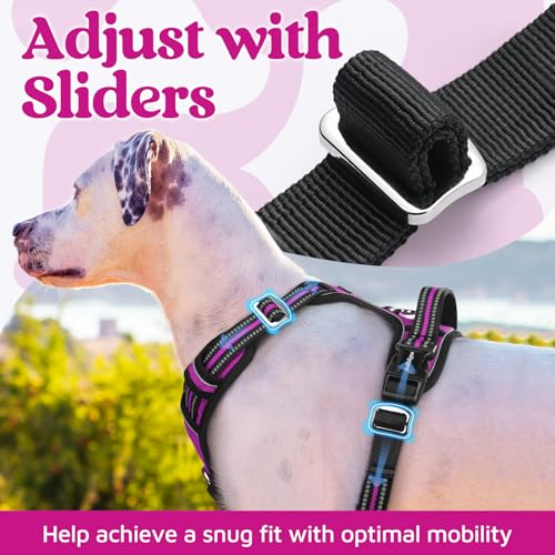 rabbitgoo Dog Harness Small Sized, No Pull Dog Vest with 3 Buckles, Adjustable Soft Padded Pet Harness with Easy Control Handle and Reflective Strips, Purple, S - color: Purple, size: Small