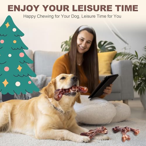 Kseroo Indestructible Dog Toys for Aggressive Chewers: 6-Pack Bacon Flavored Hard Nylon Dog Chew Toys for Medium & Large Dogs(25-90lbs), Tough Super Chewer Dog Bones Toys to Keep Them Busy, Brown - color: 6PC-Bacon-Brown
