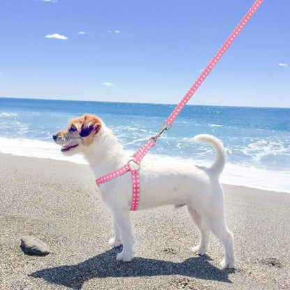 BINGPET Dog Harness Collar Leash Set,Adjustable No Pull Escape Proof Small Dog Harness,Classic Plaid Puppy Harness and Leash Set for Small Medium Large Dogs Training Easy Walk Running(Polka Dots,M) - color: Polka Dots, size: M(Chest Girth:17.3''-23.38'')