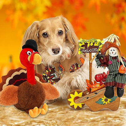 Thanksgiving Dog Toys, Turkey Squeaky Dog Toys with Cotton Rope and Crinkle, Thanksgiving Dog Gifts for Small Medium and Large Dogs - style: M-Thanksgiving Turkey