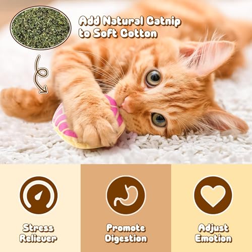 Mexican Catnip Stuffed Toys for Cats - 5Pcs Pet Days Mexican Concha Catnip Toys, Pan Dulce Toys for Cat Lovers Fiesta Gift Indoor Kitten Chew Bite Kick Non-Toxic Interactive Pet Supplies - style: Mexican Concha Cafecito Conchas Pan Dulce