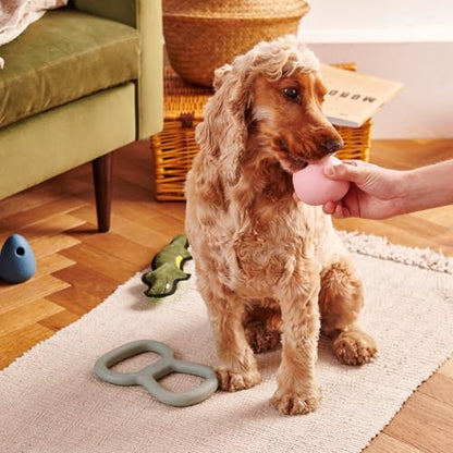 Beco Natural Rubber Wobble & Stuffable Ball Fetch Dog Toy, Perfectly Crafted for Endless Fun, Interactive Bouncing, and Treat-Dispensing Challenges. Suitable for All Dog and Puppy Size, Blue