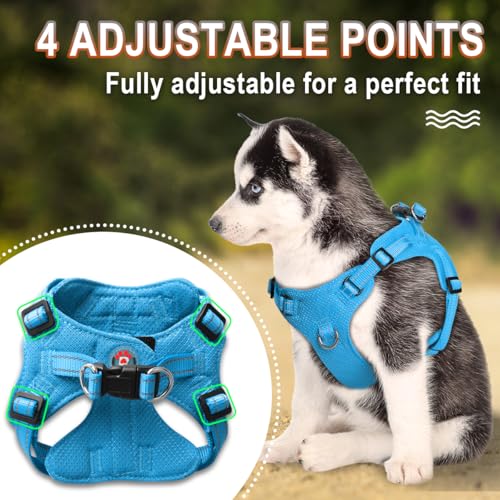 BARKBAY Dog Harness, Reflective Adjustable Puppy No Pull Harness, Breathable Soft, Blue, XXS - color: Blue, size: XX-Small