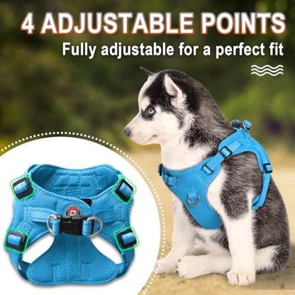 BARKBAY Dog Harness, Reflective Adjustable Puppy No Pull Harness, Breathable Soft, Blue, XXS - color: Blue, size: XX-Small