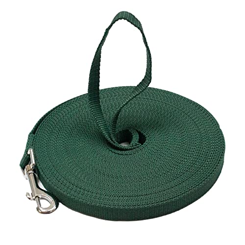 Downtown Pet Supply - Long Dog Training Leash for Recall & Obedience - Nylon, 30 ft, Hunter Green - color: Hunter Green, size: 30 Foot