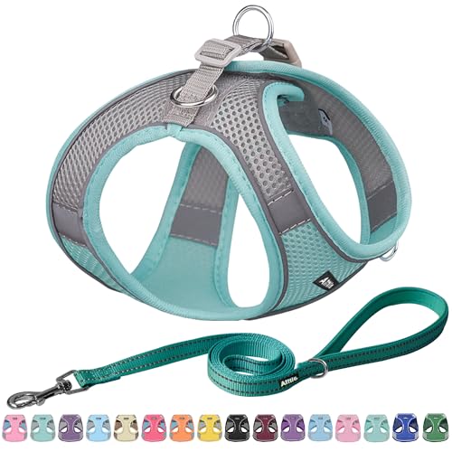 AIITLE Dog Harness, No-Pull Cat Harness with a Leash, Adjustable Reflective Dog Vest, Cat Harness Escape Proof, Outdoor Walking, Running,Training for Extra Small Dogs and House Cats Turquoise XXXS - color: Turquoise, size: XXXS(Chest: 8.5 - 10")