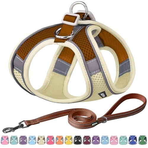 AIITLE Dog Harness, No-Pull Cat Harness with a Leash, Adjustable Reflective Dog Vest, Cat Harness Escape Proof, Outdoor Walking, Running,Training for Extra Small Dogs and House Cats Beige XXXS - color: Beige, size: XXXS(Chest: 8.5 - 10")