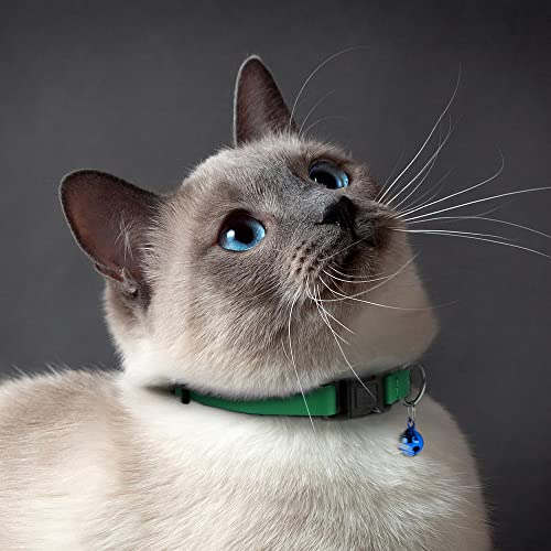 Breakaway Cat Collar with Bell - Leather Adjustable Kitten Collars with Safety Quick Release Buckle - Soft Small Pet Collars for Girl & Boy Cats (Green) - color: Green