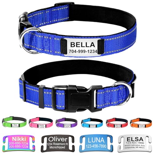 Custom Dog Collars with Name Plate, Engraved Name Plate ID Tags with Reflective Nylon Dog Collar,Soft Neoprene Padded Adjustable Pet Collar for Small Medium Large Dogs,S Blue - color: Blue, size: S(10-16") x 3/4"