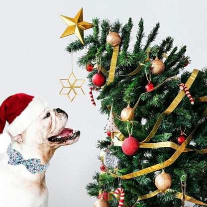 Christmas Dog Collar with Bow Tie - Cute Christmas Cherry & Candy Pattern Blue Puppy Collar, Adjustable Metal Buckle Winter Holiday Bowtie Dog Collars for Small Medium Large Dogs XS - color: B-Blue Xmas Polka Dot, size: XS