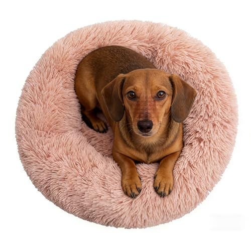 Calming Donut Dog Beds for Small Dogs Cats - Washable Removable Cover Non-Slip Bottom, Round Pet Bed Puppy Bed Warming Fluffy Faux Fur Anti-Anxiety, Fits up to 25 lbs (Blush, 23") - color: Blush, size: 23"L x 23"W x 8"Th