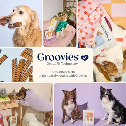 Groovies Senior Small Dog Dental Chews for Dogs, Patented DentalFit Technology for Plaque & Tartar Support, Flexible Texture for Easy Chewing, Chicken Flavor, USA Manufactured, 5–15 lb Dogs,96 Count - size: 27 Ounce