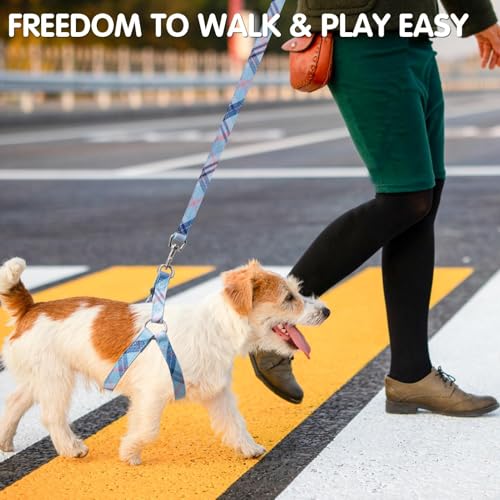 BINGPET Dog Harness Collar Leash Set,Adjustable No Pull Escape Proof Small Dog Harness,Classic Plaid Puppy Harness and Leash Set for Small Medium Large Dogs Training Easy Walk Running(Blue,M) - color: Blue Plaid, size: M(Chest Girth:17.3''-23.38'')