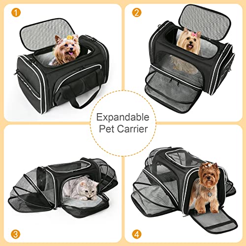 Estarer Soft Sided Pet Carrier Airline Approved, 4 Sides Expandable Collapsible Cat Carrier with Pockets & Removable Fleece Pad, Travel Carrier Bag for Cat Dog & Small Animals (Black) - color: Black