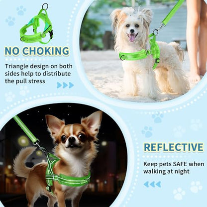 SlowTon No Pull Small Dog Harness and Leash Set, Puppy Soft Vest Harness Neck & Chest Adjustable, Reflective Lightweight Harness & Anti-Twist Pet Lead Combo for Small Medium Dogs (Green-Front Clip,XS) - color: B-Light Green - With Front Clip, size: X-Smal