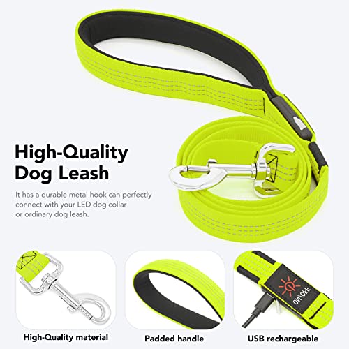 Colaseeme Light Up Dog Leash, LED Pet Leashes USB Rechargeable, Glow Safety Dogs Lights at Night (4FT,Green & Reflective Wires) - color: Green & Reflective Wires, size: 4FT