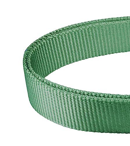 Mikivery Martingale Dog Collar Nylon Adjustable and Safety Training Metal Buckle Dogs Collars for Small Medium and Large Breed(Emerald,L) - color: Emerald, size: L
