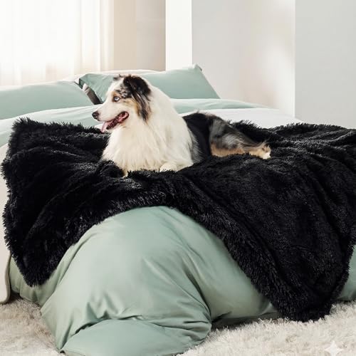 Bedsure Dog Blankets for Large Dogs, Fluffy Waterproof Dog Blanket for Couch Protector and Bed Washable, Fuzzy Faux Fur Pet Throw Blankets for Calming, Dog Accessories, XL, 50×60 inch, Black - color: Black, size: Xl(50x60")