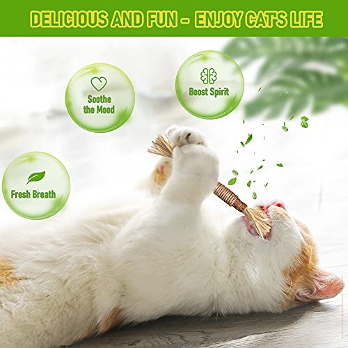 GBSYU 1 Pack Silvervine Cat Toy, Silvervines Sticks Cat Toys for Indoor Cats, Cat & Kitten Chew Toys for Aggressive Chewers, Cat Dental Toy for Kitten Teeth Cleaning, Matatabi Silvervine for Cats - size: 1PCS